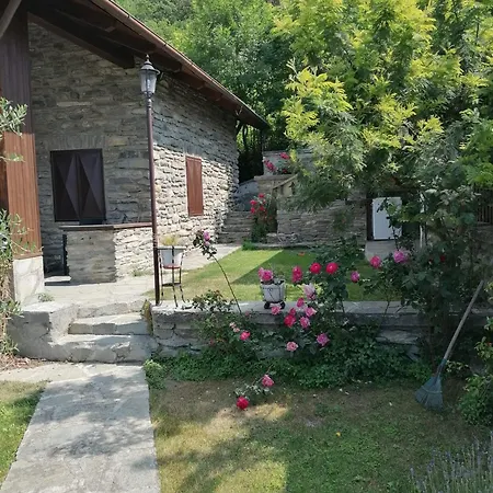 Di Montagna